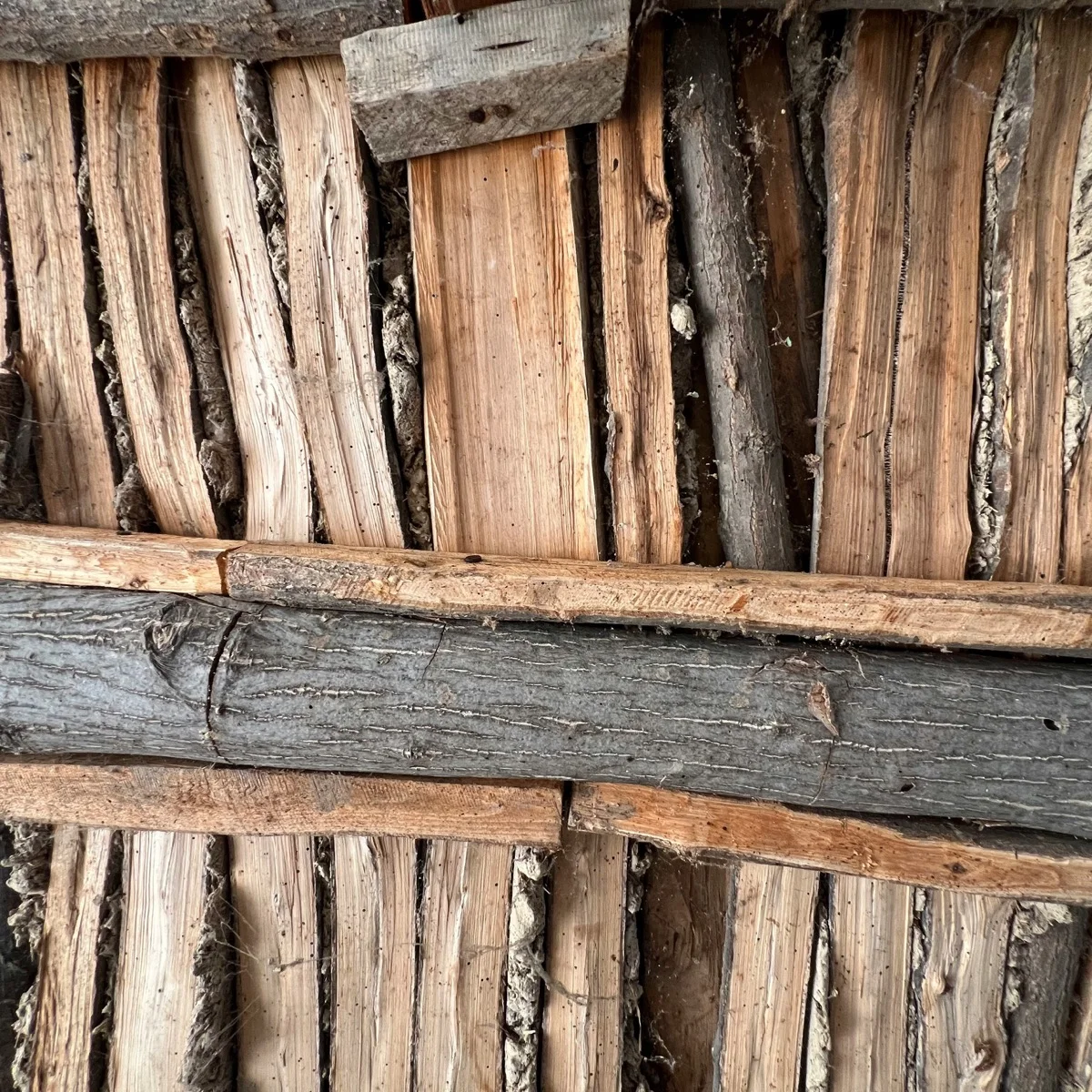 Termite / WDO field work